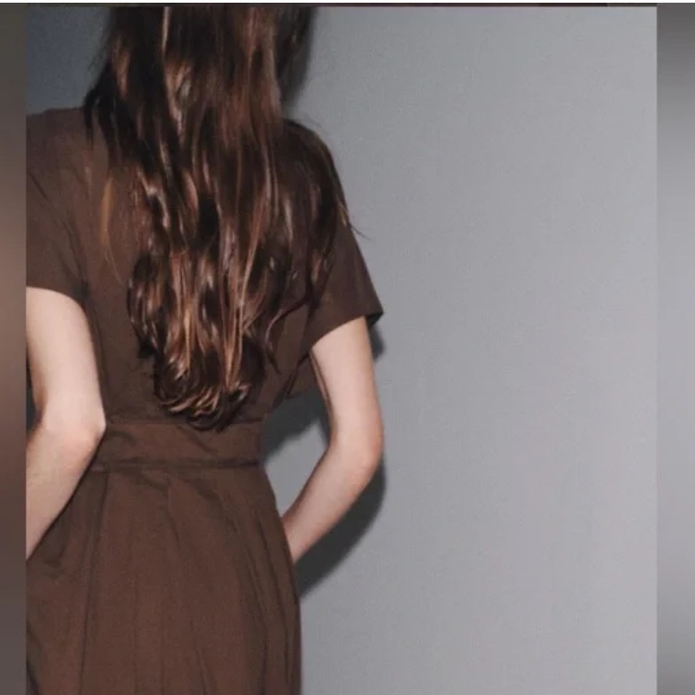 Zara NWT pleated midi dress 9479/249 - Picture 6 of 10